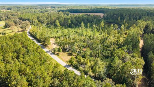 Broad aerial of the wooded tract, roadside clearing and main pond in the distance.
