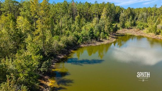 Closer aerial view of the pond shoreline and adjoining wooded cover.
