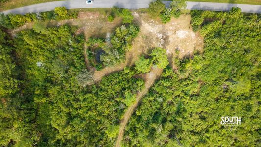 Overhead view of the roadside clearing, small pond and interior trail.