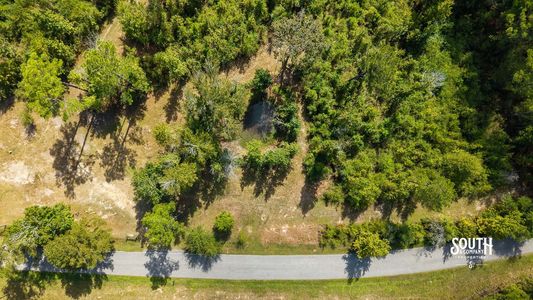 Overhead view of a small pond, cleared paths and road frontage.