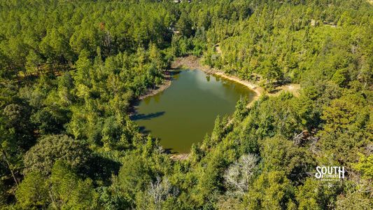 Aerial overview of the main pond with wooded banks and an open approach.