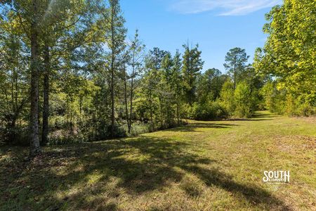 Mowed interior trail running between wooded areas.