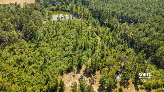 Aerial view of interior trails through wooded cover toward the main pond.