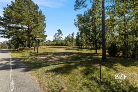 Cleared ground with scattered pine and hardwood trees beside N. Mill Creek Road.