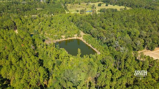 Aerial view of the main pond surrounded by trees and natural regrowth.