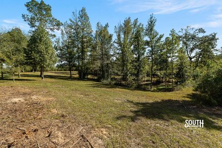 Open ground and scattered trees along the edge of wooded cover.